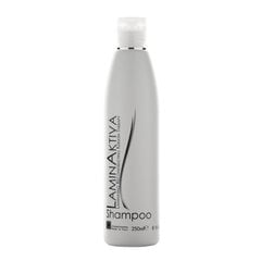 Plaukų šampūnas su keratinu LAMINAKTIVA, 250 ml kaina ir informacija | Šampūnai | pigu.lt