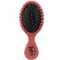 Plaukų šepetys Wet Brush Lil' Punchy Pink цена и информация | Šepečiai, šukos, žirklės | pigu.lt