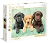 Dėlionė su šuniukais Clementoni Three Labs, 39279, 1000 d. kaina ir informacija | Dėlionės (puzzle) | pigu.lt