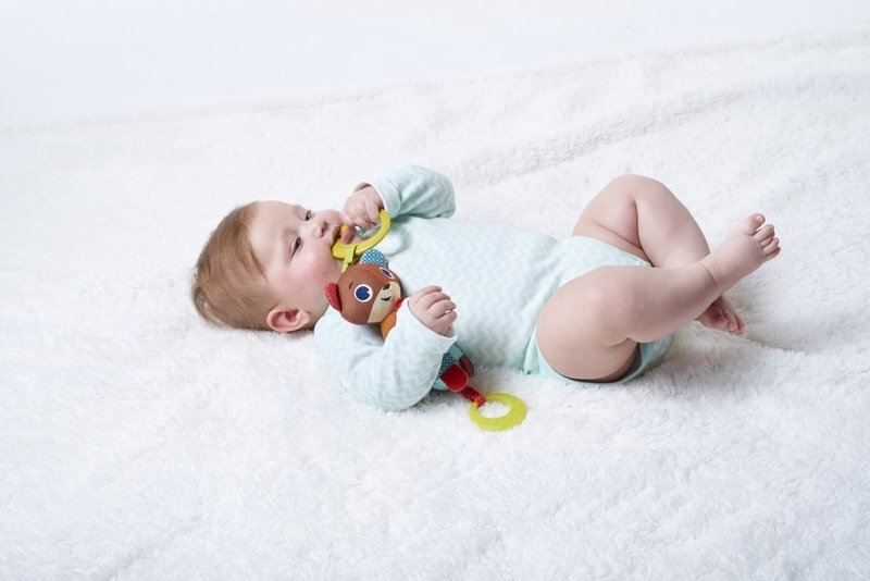 Pakabinamas žaislas Meškėnas Tiny Love kaina ir informacija | Žaislai kūdikiams | pigu.lt