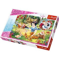 Trefl Puzzle Принцесса Диснея цена и информация | Пазлы | pigu.lt