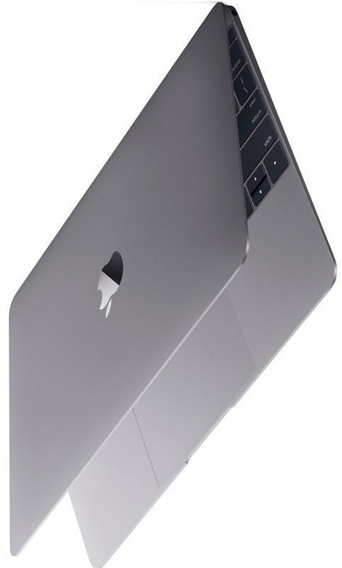 Apple MacBook 12 Retina (MNYF2ZE/A) EN цена и информация | Nešiojami kompiuteriai | pigu.lt