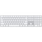 Magic Keyboard with Numeric Keypad RUS - MQ052RS/A kaina ir informacija | Klaviatūros | pigu.lt