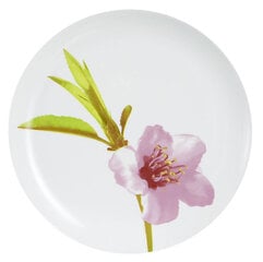 Тарелка Water Colour, 25 см цена и информация | Посуда, тарелки, обеденные сервизы | pigu.lt