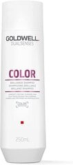 Шампунь для окрашенных волос Goldwell Dualsenses Brilliance Color Shampoo 250 мл цена и информация | Шампуни | pigu.lt