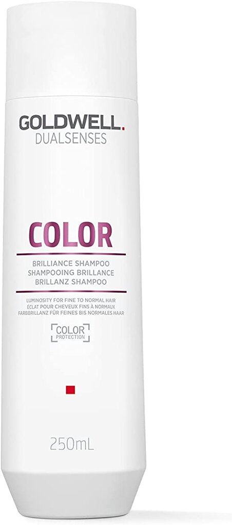 Šampūnas dažytiems plaukams Goldwell Dualsenses Color, 250 ml kaina ir informacija | Šampūnai | pigu.lt