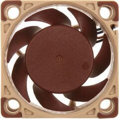 Noctua NF-A4x20 5V PWM цена и информация | Компьютерные вентиляторы | pigu.lt