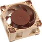 Noctua NF-A4x20 5V PWM kaina ir informacija | Kompiuterių ventiliatoriai | pigu.lt