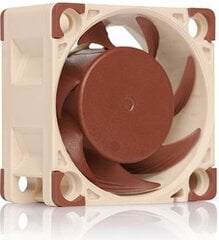 Noctua NF-A4x20 FLX kaina ir informacija | Kompiuterių ventiliatoriai | pigu.lt