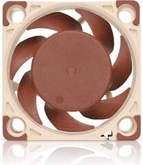 Noctua NF-A4x20 FLX kaina ir informacija | Kompiuterių ventiliatoriai | pigu.lt