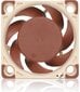 Noctua NF-A4x20 PWM kaina ir informacija | Kompiuterių ventiliatoriai | pigu.lt