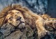 Dėlionė Trefl "Miegantis liūtas", 1000 d. цена и информация | Dėlionės (puzzle) | pigu.lt