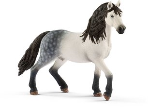 Фигурка андалузской лошади Schleich цена и информация | Игрушки для мальчиков | pigu.lt