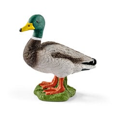 Фигурка Дикая утка, муж.п., Schleich цена и информация | Игрушки для мальчиков | pigu.lt