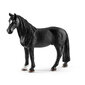 Figūrėlė Tenesio arklys Schleich kaina ir informacija | Žaislai berniukams | pigu.lt
