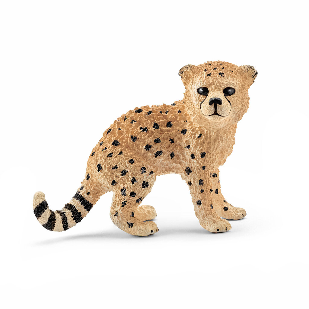 Figūrėlė gepardas jaunuolis, Schleich цена и информация | Žaislai berniukams | pigu.lt