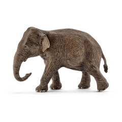 Фигурка Азиатский слон, женс.п., Schleich цена и информация | Игрушки для мальчиков | pigu.lt