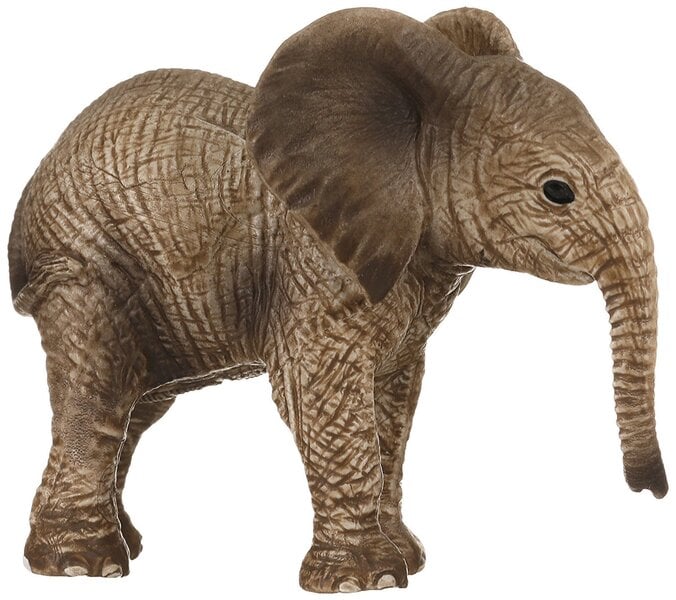 Figūrėlė Afrikinis dramblys Schleich
