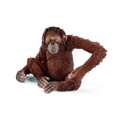 Фигурка Самка орангутанга Schleich Wild Life цена и информация | Игрушки для мальчиков | pigu.lt