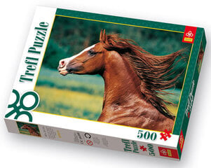Головоломка Trefl Puzzle Лошадь, 500 д. цена и информация | Пазлы | pigu.lt