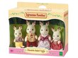 Kiškučių šeimynėlė Sylvanian Families kaina ir informacija | Žaislai mergaitėms | pigu.lt