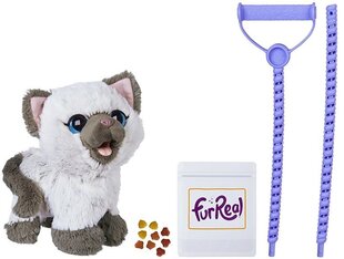 Interaktyvus kačiukas su pavadėliu Hasbro FurReal, C1156 kaina ir informacija | Minkšti (pliušiniai) žaislai | pigu.lt