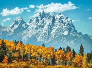 Пазл Clementoni High Quality Grand Teton In Fall, 35034, 500 д. цена и информация | Пазлы | pigu.lt