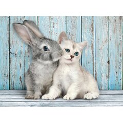 Пазл Clementoni High Quality Cat & Bunny 500 д. цена и информация | Пазлы | pigu.lt