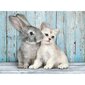 Dėlionė Clementoni High Quality Cat & Bunny 500 d. цена и информация | Dėlionės (puzzle) | pigu.lt