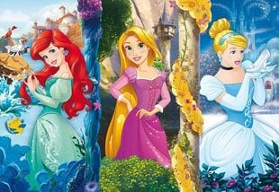 Dėlionė Clementoni Disney Princesės, 60 d. kaina ir informacija | Dėlionės (puzzle) | pigu.lt