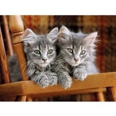 Головоломка Clementoni High Quality Collection Kittens (Котята), 30545, 500 д. цена и информация | Пазлы | pigu.lt