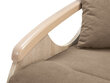 Miegamasis fotelis-sofa Ida II 2FBKA, smėlio spalvos kaina ir informacija | Sofos | pigu.lt