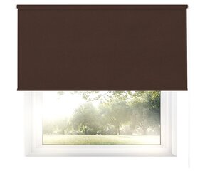 Šviesos nepraleidžiantis sieninis roletas Blackout 80x240 cm, pg-10 ruda kaina ir informacija | Roletai | pigu.lt