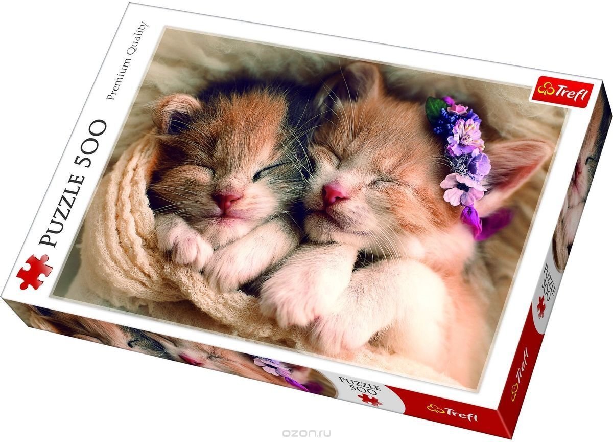 Dėlionė "Miegantys kačiukai" Trefl, 500 d. kaina ir informacija | Dėlionės (puzzle) | pigu.lt