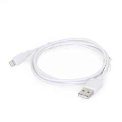 GEMBIRD CC-USB2-AMLM-2M-W цена и информация | Кабели и провода | pigu.lt