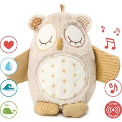 Музыкальная мягкая сова с датчиком звука Nighty Night Owl Smart Sensor, Cloud B 010086 цена и информация | Игрушки для малышей | pigu.lt