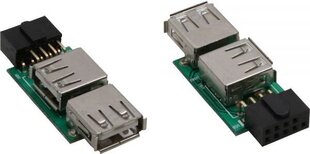 InLine USB A - 9 pin Czarny (33440I) kaina ir informacija | Adapteriai, USB šakotuvai | pigu.lt