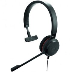 Jabra Evolve 30 Mono kaina ir informacija | Ausinės | pigu.lt