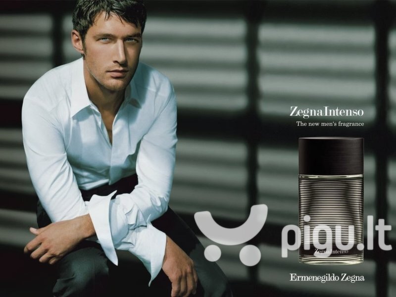 Tualetinis vanduo Ermenegildo Zegna Intenso EDT vyrams 50 ml kaina ir informacija | Kvepalai vyrams | pigu.lt