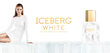 Purškiamas dezodorantas Iceberg White moterims 100 ml цена и информация | Parfumuota kosmetika moterims | pigu.lt