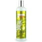 Plaukų augimą skatinantis šampūnas Natura Estonica BIO 400 ml
