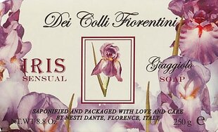 Натуральное мыло Nesti Dante Dei Colli Fiorentini Iris Sensual 250 г цена и информация | Мыло | pigu.lt