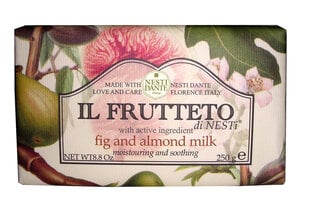 Натуральное мыло Nesti Dante Il Frutteto Fig And Almond Milk 250 г
 цена и информация | Мыло | pigu.lt