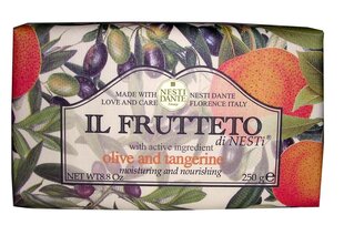 Natūralus muilas Nesti Dante Il Frutteto Olive And Tangerine 250 g kaina ir informacija | Muilai | pigu.lt