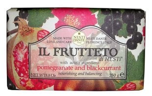 Natūralus muilas Nesti Dante Il Frutteto Pomegranate And Blackcurrant 250 g цена и информация | Мыло | pigu.lt