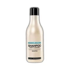 Stapiz Basic Salon Deep Cleaning шампунь 1000 мл цена и информация | Шампуни | pigu.lt