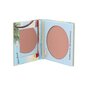 Skaistalai Balm Beach Nude Pink theBalm, 6.39 g kaina ir informacija | Bronzantai, skaistalai | pigu.lt