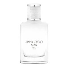 Мужская парфюмерия Man Ice Jimmy Choo (30 ml) EDT цена и информация | Мужские духи | pigu.lt