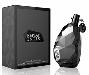 Replay Stone EDT для мужчин 100 мл цена и информация | Мужские духи | pigu.lt