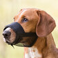 Trixie Flex antsnukis, guma, S, juodas kaina ir informacija | Dresūros priemonės šunims | pigu.lt